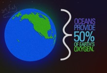 Healthy Oceans