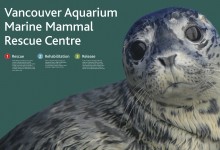Marine Mammal Rescue Centre