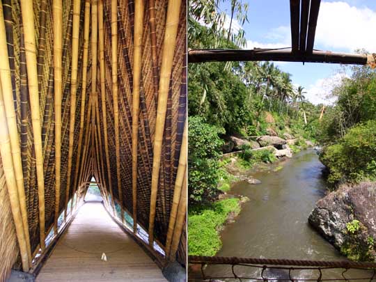 Looking down a corridor of bamboo polse that is the inside of the bridge, view from bridge down river