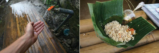 A hand under a tap, rice in a palm leaf