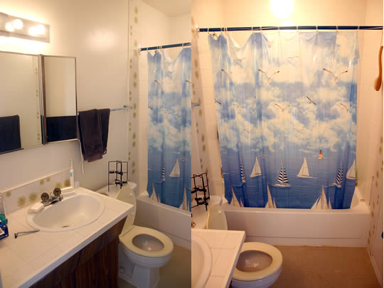 Split image of bathroom