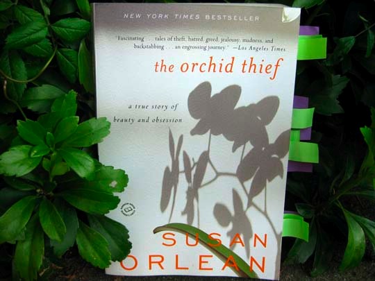 orchid-thief-cover.jpg