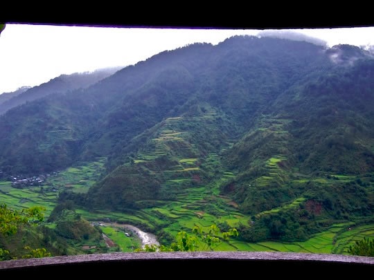 Rice terraces