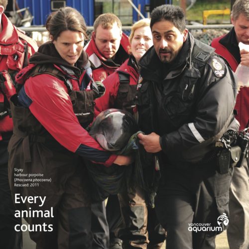 Marine Mammal Rescue Centre