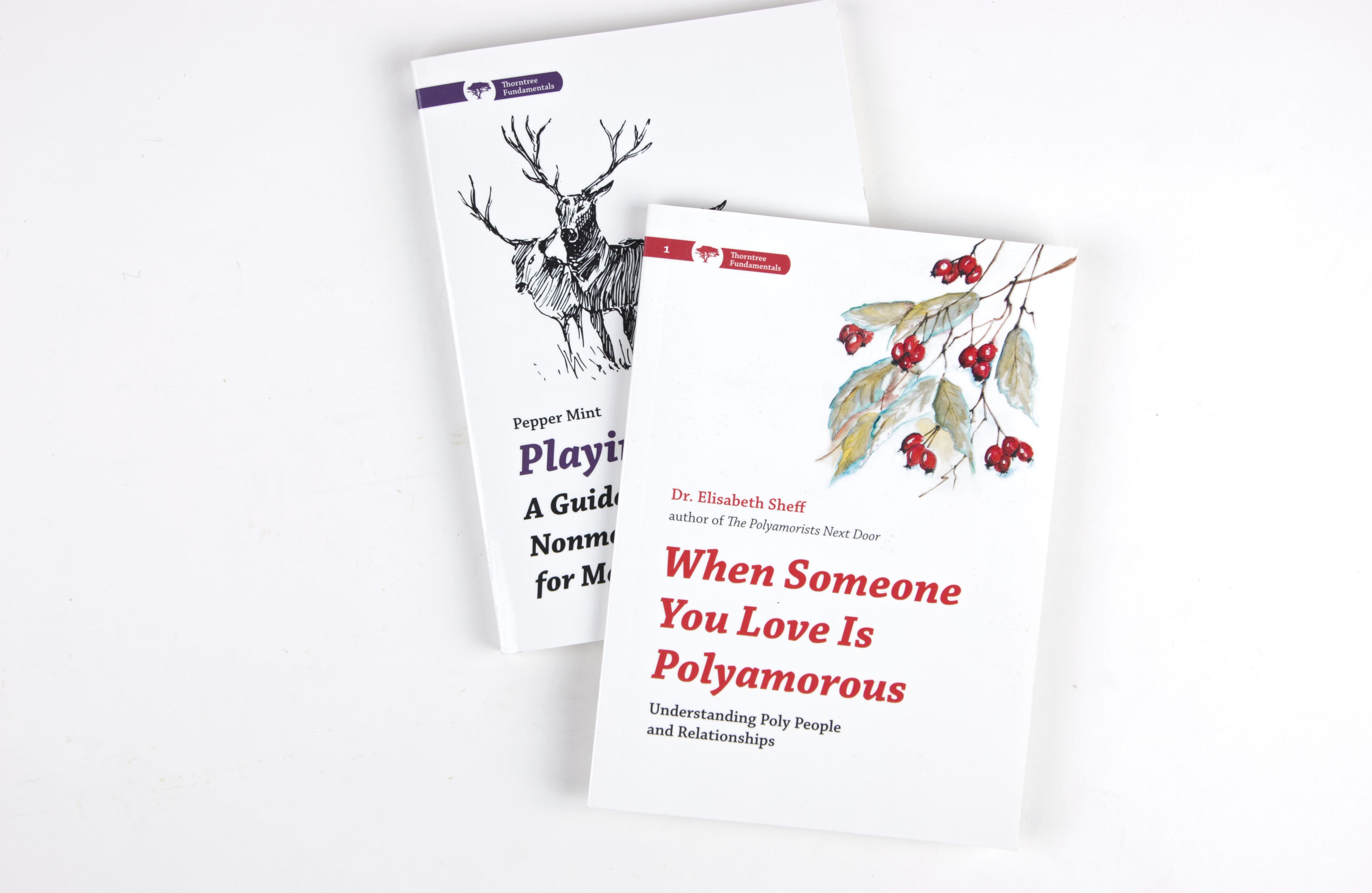 Thorntree Press Fundamental Series