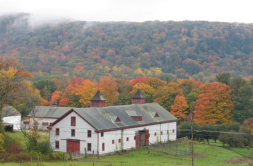 photograph of barn