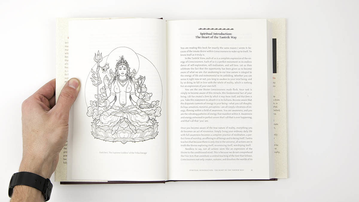 Interior spread of hard cover book showing image and text