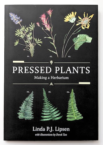 Pressed Plants